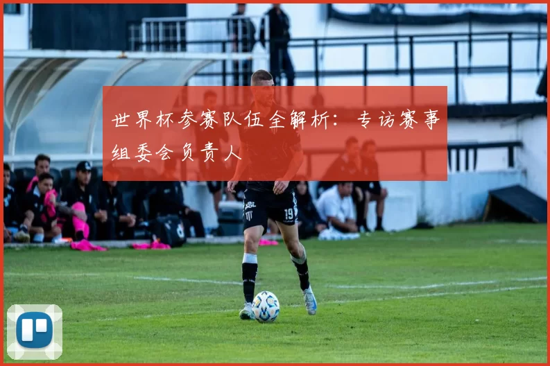 世界杯参赛队伍全解析：专访赛事组委会负责人