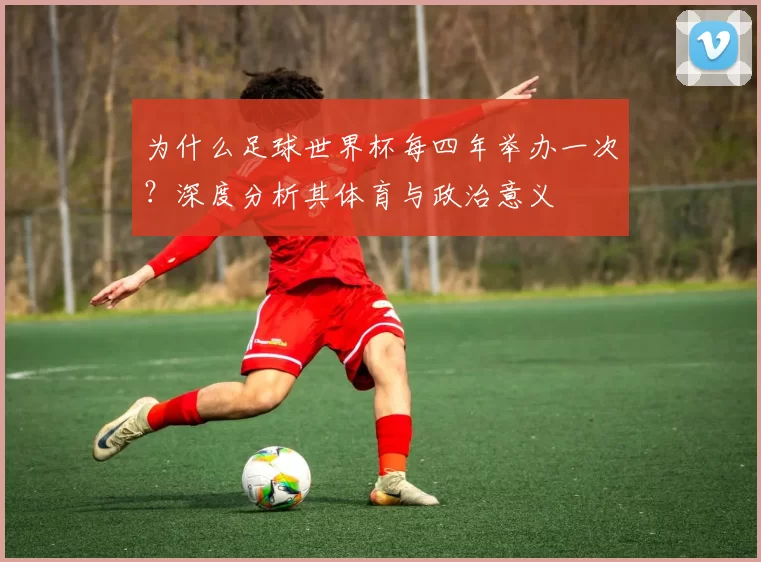 为什么足球世界杯每四年举办一次？深度分析其体育与政治意义