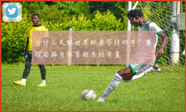 为什么足球世界杯要等待四年？赛程安排与体育经济的考量