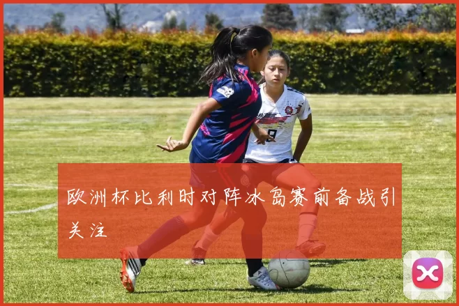欧洲杯比利时对阵冰岛赛前备战引关注