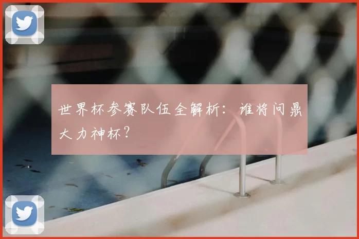 世界杯参赛队伍全解析：谁将问鼎大力神杯？
