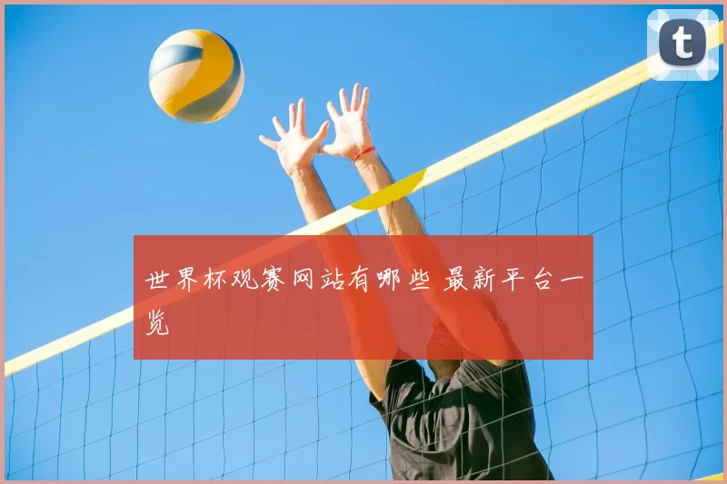 世界杯观赛网站有哪些 最新平台一览