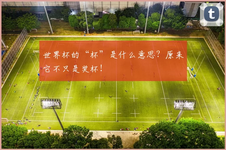 世界杯的“杯”是什么意思?原来它不只是奖杯!