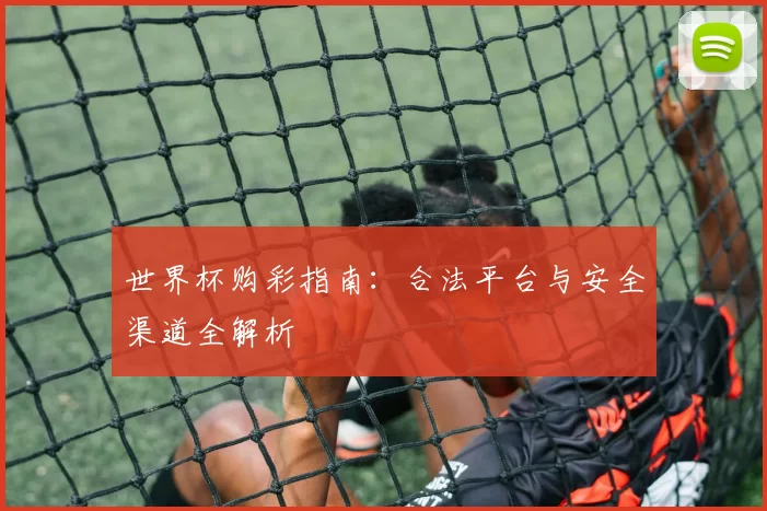 世界杯购彩指南：合法平台与安全渠道全解析