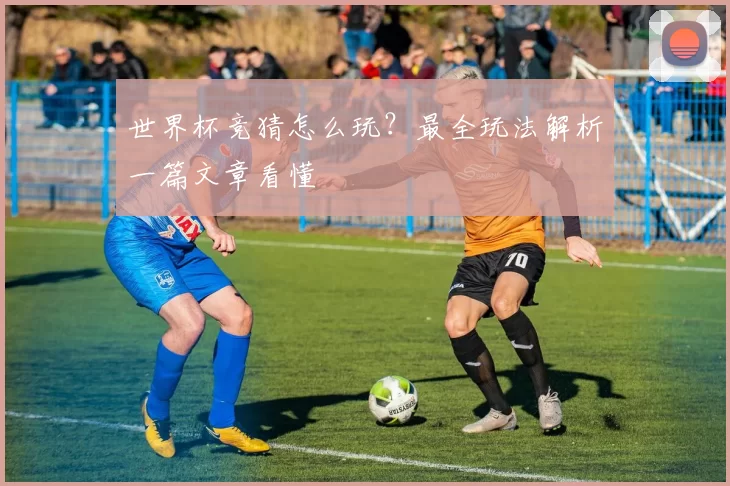 世界杯竞猜怎么玩？最全玩法解析一篇文章看懂