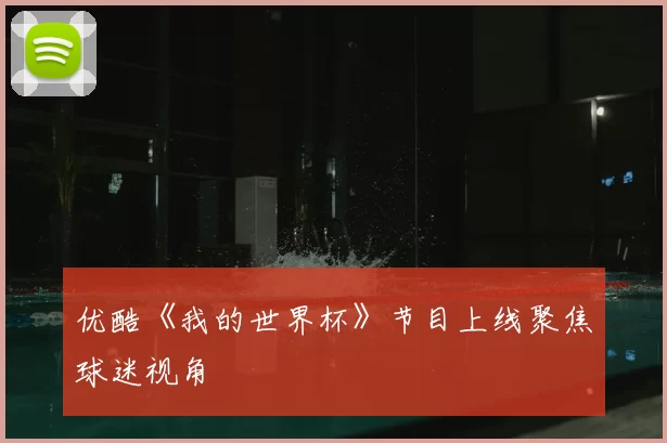优酷《我的世界杯》节目上线聚焦球迷视角