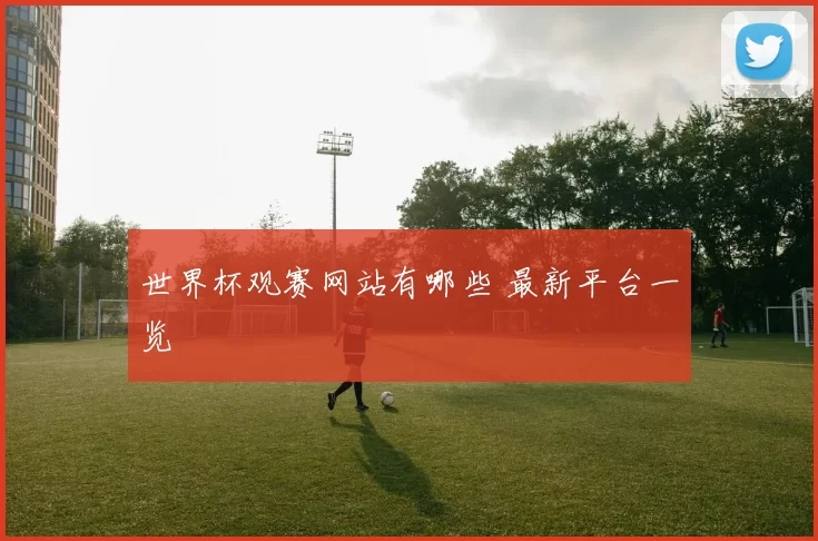 世界杯观赛网站有哪些 最新平台一览