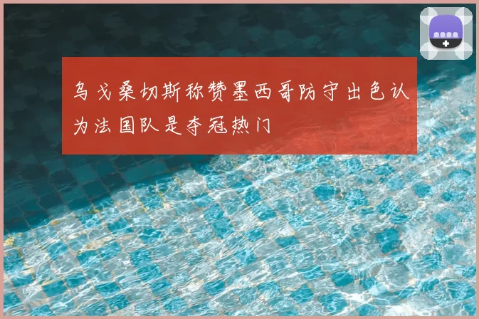 乌戈桑切斯称赞墨西哥防守出色认为法国队是夺冠热门