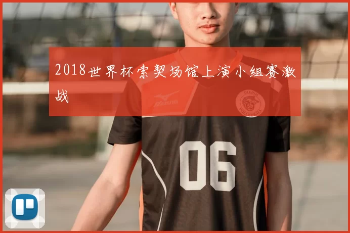 2018世界杯索契场馆上演小组赛激战