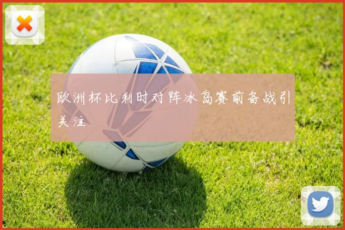 欧洲杯比利时对阵冰岛赛前备战引关注