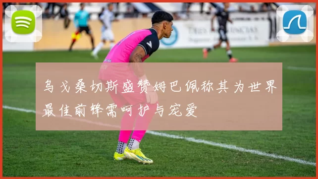 乌戈桑切斯盛赞姆巴佩称其为世界最佳前锋需呵护与宠爱