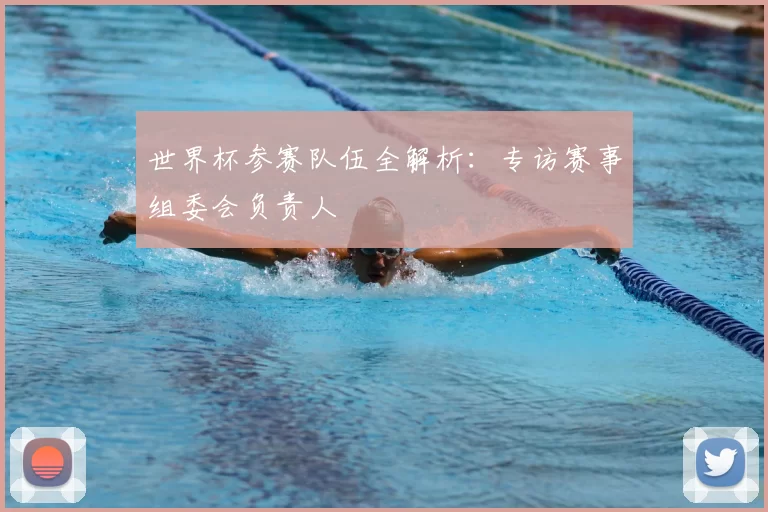 世界杯参赛队伍全解析：专访赛事组委会负责人