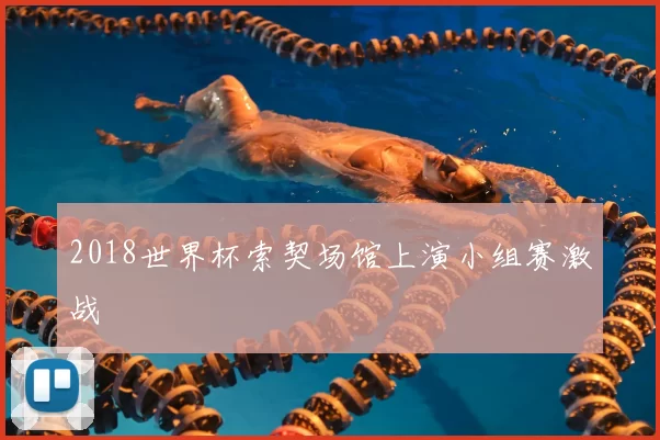 2018世界杯索契场馆上演小组赛激战